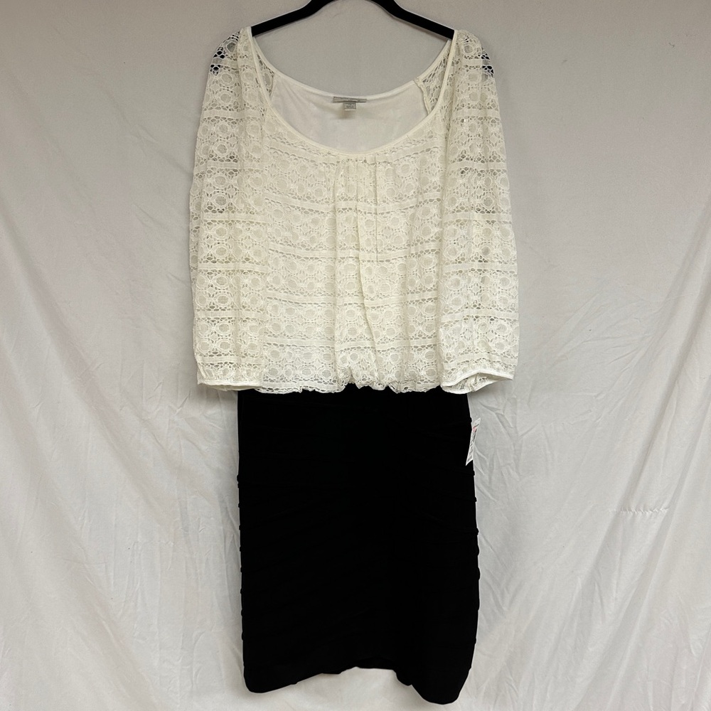 NWT Dress Barn Dress - White Lace and Black - Size 16